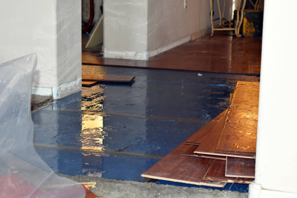Professional Water Damage technician working in Riverside, RI